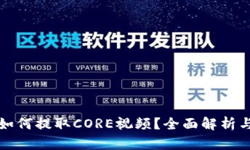 小狐钱包如何提取CORE视频？全面解析与操作指南