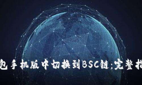 如何在小狐钱包手机版中切换到BSC链：完整指南与实用技巧