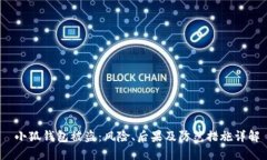   小狐钱包被盗：风险、后果及防范措施详解