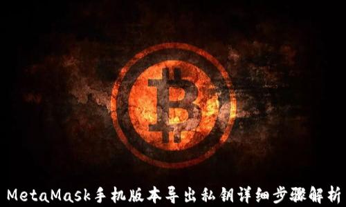 
MetaMask手机版本导出私钥详细步骤解析