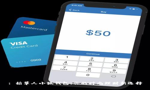 : 稻草人小狐钱包：你的时尚理财新选择