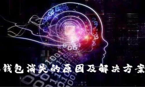 小狐钱包消失的原因及解决方案详解