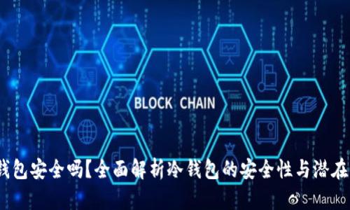  冷钱包安全吗？全面解析冷钱包的安全性与潜在风险