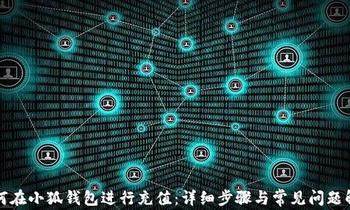 
如何在小狐钱包进行充值：详细步骤与常见问题解答