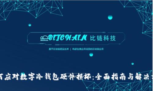 如何应对数字冷钱包硬件损坏：全面指南与解决方案