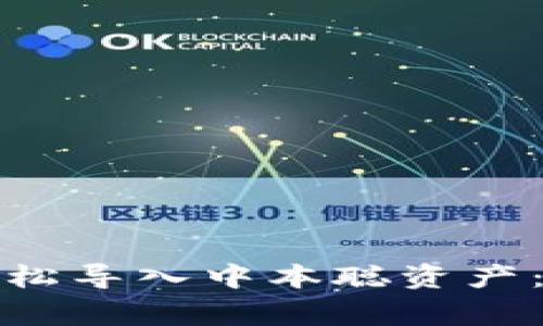 如何通过小狐钱包轻松导入中本聪资产：详细教程与注意事项