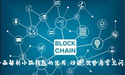 全面解析小狐钱包的使用：功能、优势与常见问题
