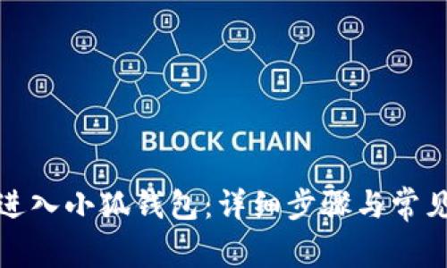 如何顺利进入小狐钱包：详细步骤与常见问题解答