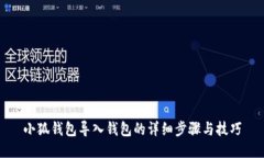 小狐钱包导入钱包的详细步骤与技巧