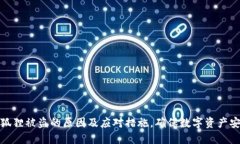 小狐狸被盗的原因及应对措施，确保数字资产安